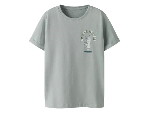 Støvet lyseblå t-shirt med print af ærtebælg fra name It 13227472 pearl blue peas